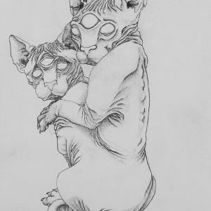 Danni Hulen - Piggyback (Ink, Graphite)