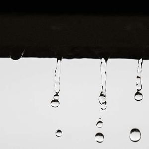 Lorenzo Townsend - Rain Gutter (Photography)