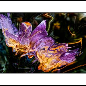 GHOST FLOWER - Photograph/Digital Art