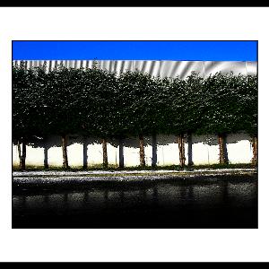 LINES - Photograph/Digital Art