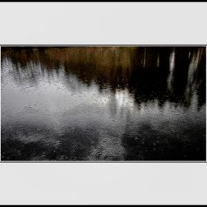 POND RAIN - Photograph/Digital Art