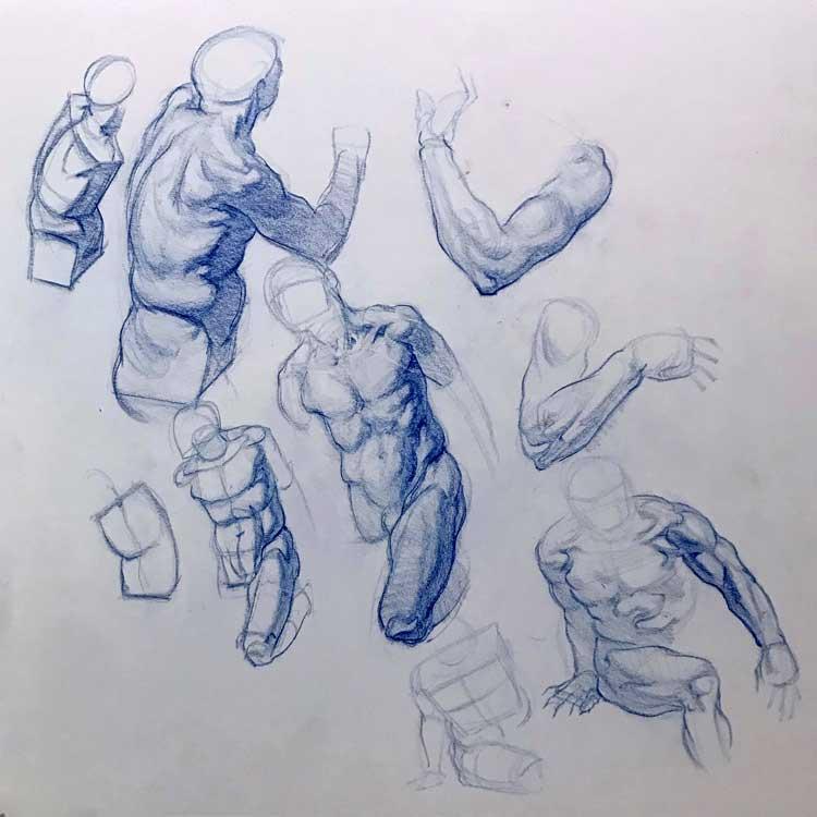 From the Brenno Kenji Collection: Studies