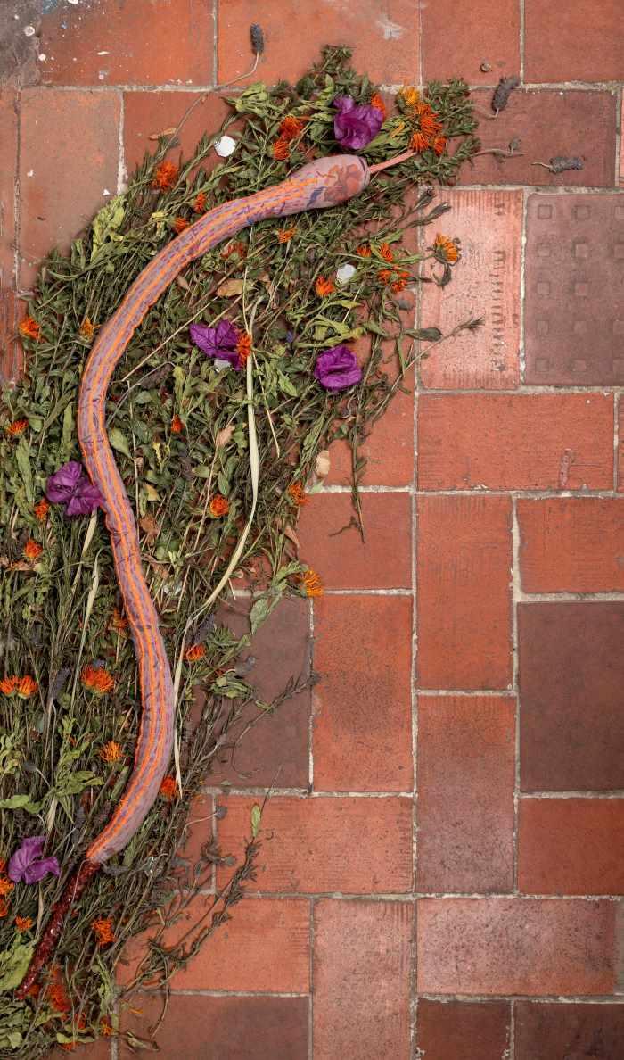 "Garden serpent"  by Quinn McNichol