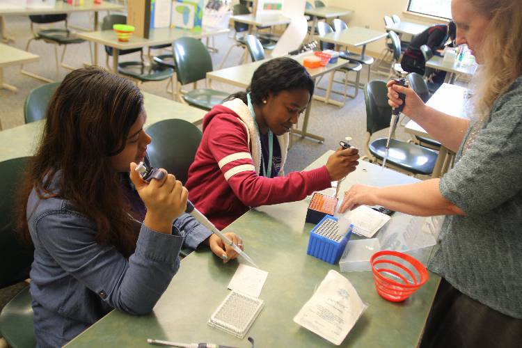 Girls learn to pippette at a STEM conference
