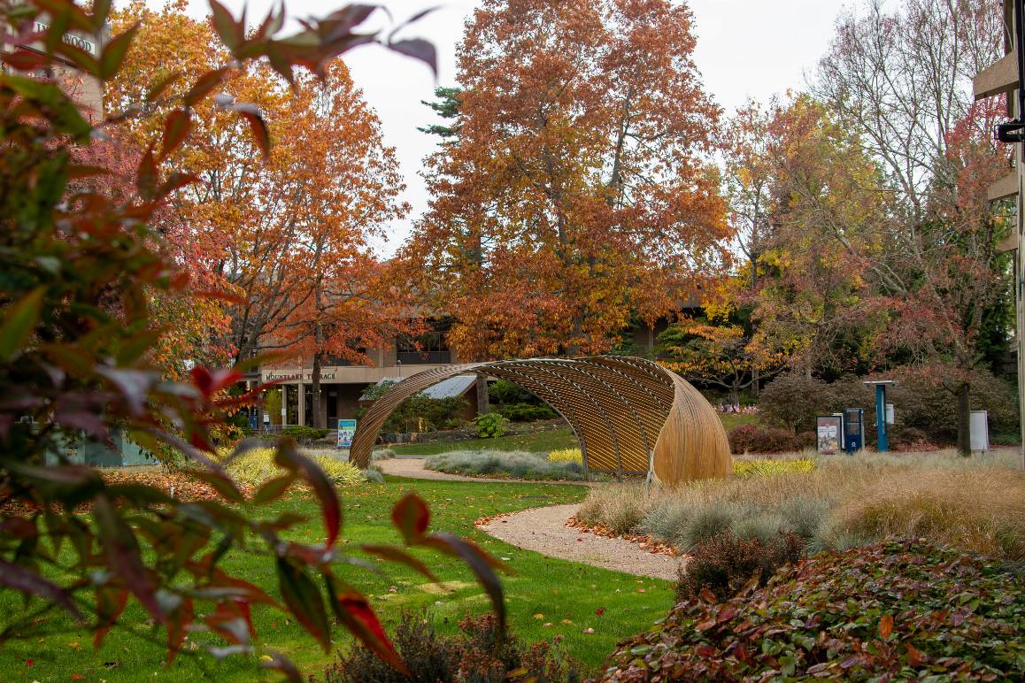 Edmonds College campus. (Arutyun Sargsyun / Edmonds College)