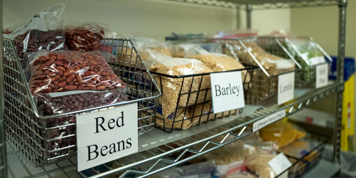 Dried bagged red beans, barley, and lentils on a shelf at the Edmonds College food pantry.