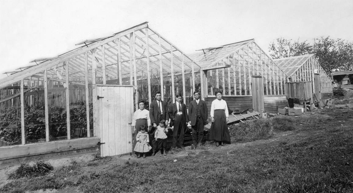 By the late 1930s, many Issei-operated floral greenhouses existed in the North Seattle area. The flowers were sold at Seattle