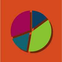 pie chart icon