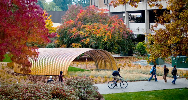 Campus courtyard