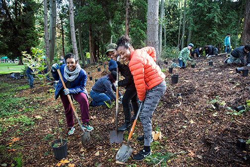 Day of Service
