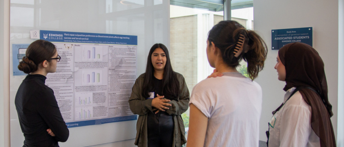 Group of students discussing Undergraduate Research