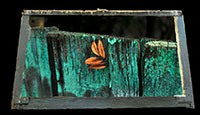 Phinney Fence by Jacob Smithers
