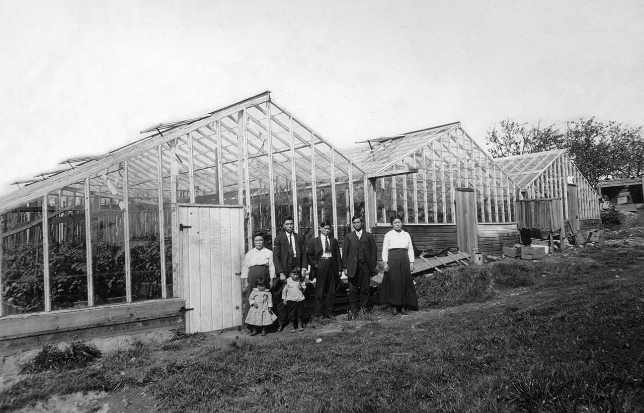 By the late 1930s, many Issei-operated floral greenhouses existed in the North Seattle area. The flowers were sold at Seattle's Public Market, retail stores, and wholesale companies. Photo Courtesy of the Kumasaka Collection.