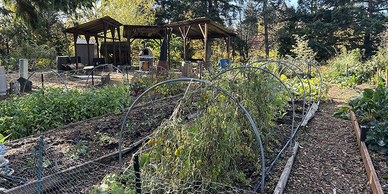 Edmonds College Campus Farm in the winter season preparing for the more abundant summer months.