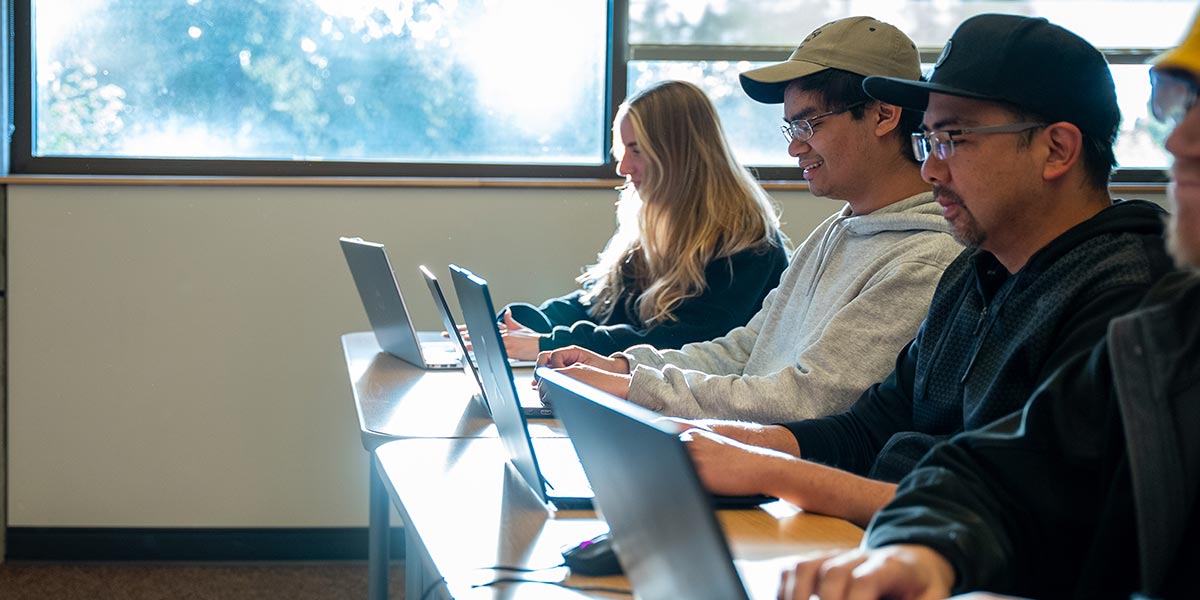 students sitting in a classroom with their laptops open