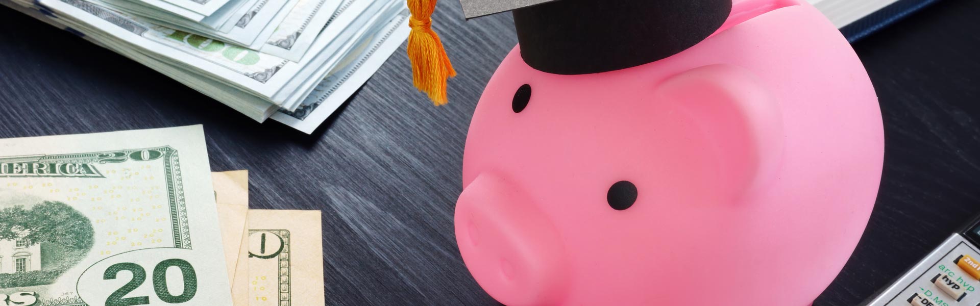 Piggy bank with cash