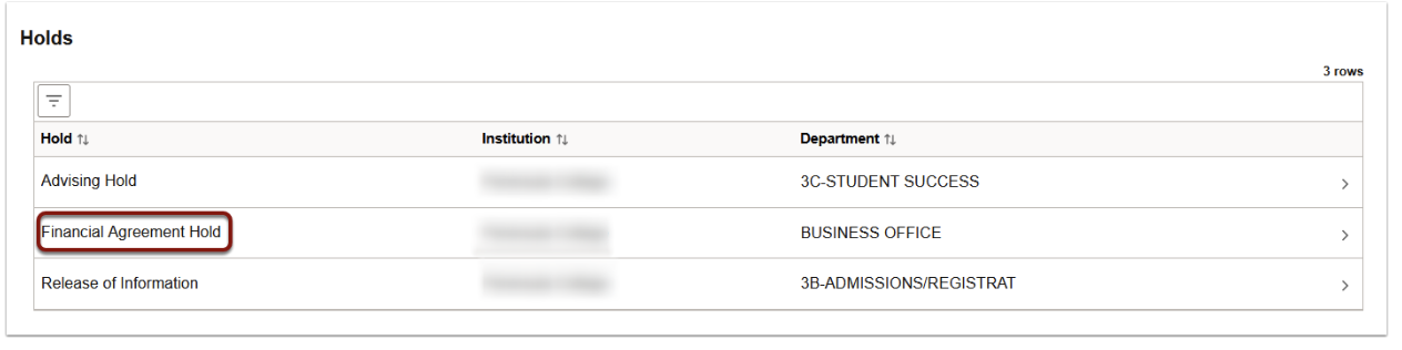 holds screen showing the Financial Agreement hold