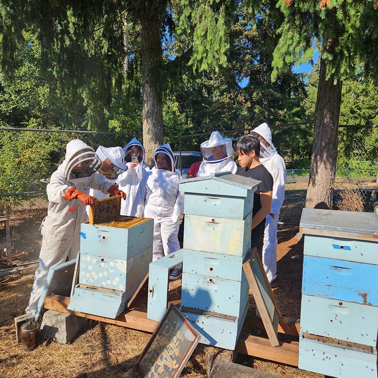 Students working on bee hives