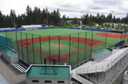 Triton Field