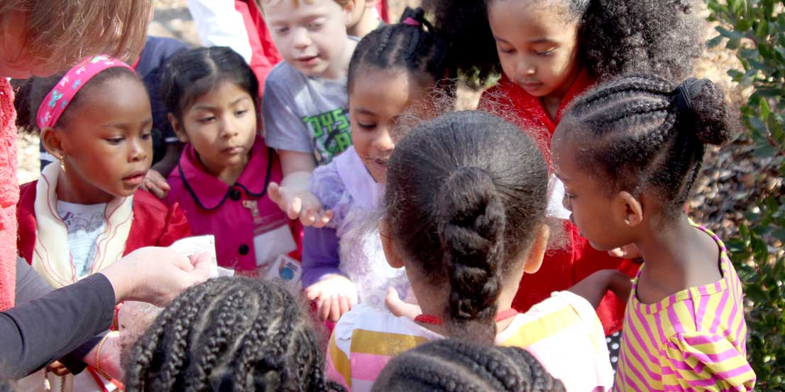 Children playing at the Center for Families playground