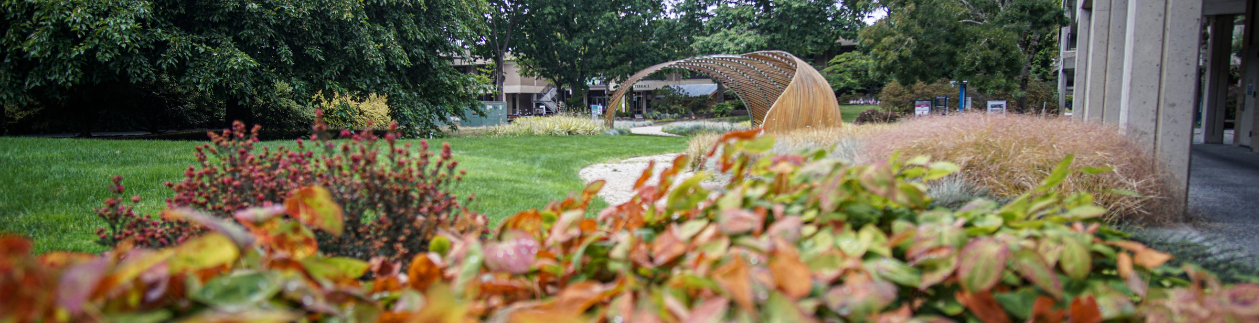 edmonds college campus shot