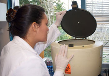 Lab assistant using equipmentv