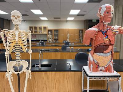 Anatomy Classroom
