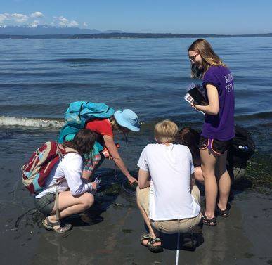 Students exploring the beach in BIOL 106