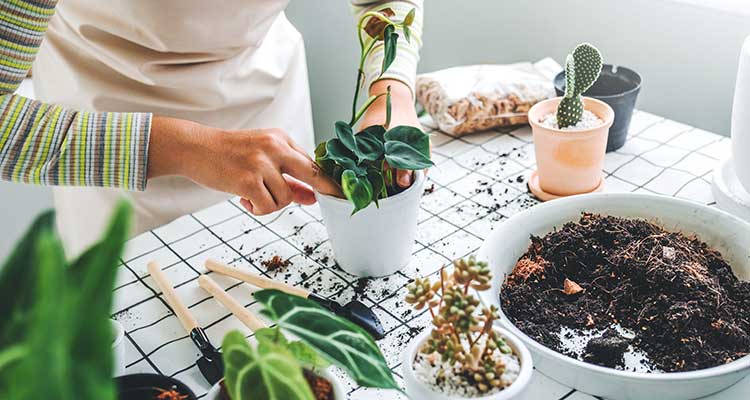 woman planting in pots