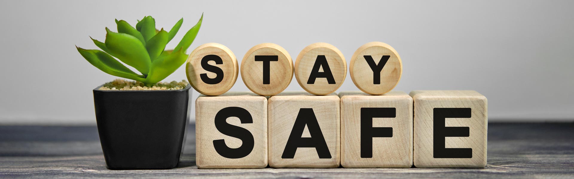 Plant with wooden blocks spelling "Stay Safe"