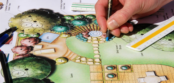 Landscaping drawing