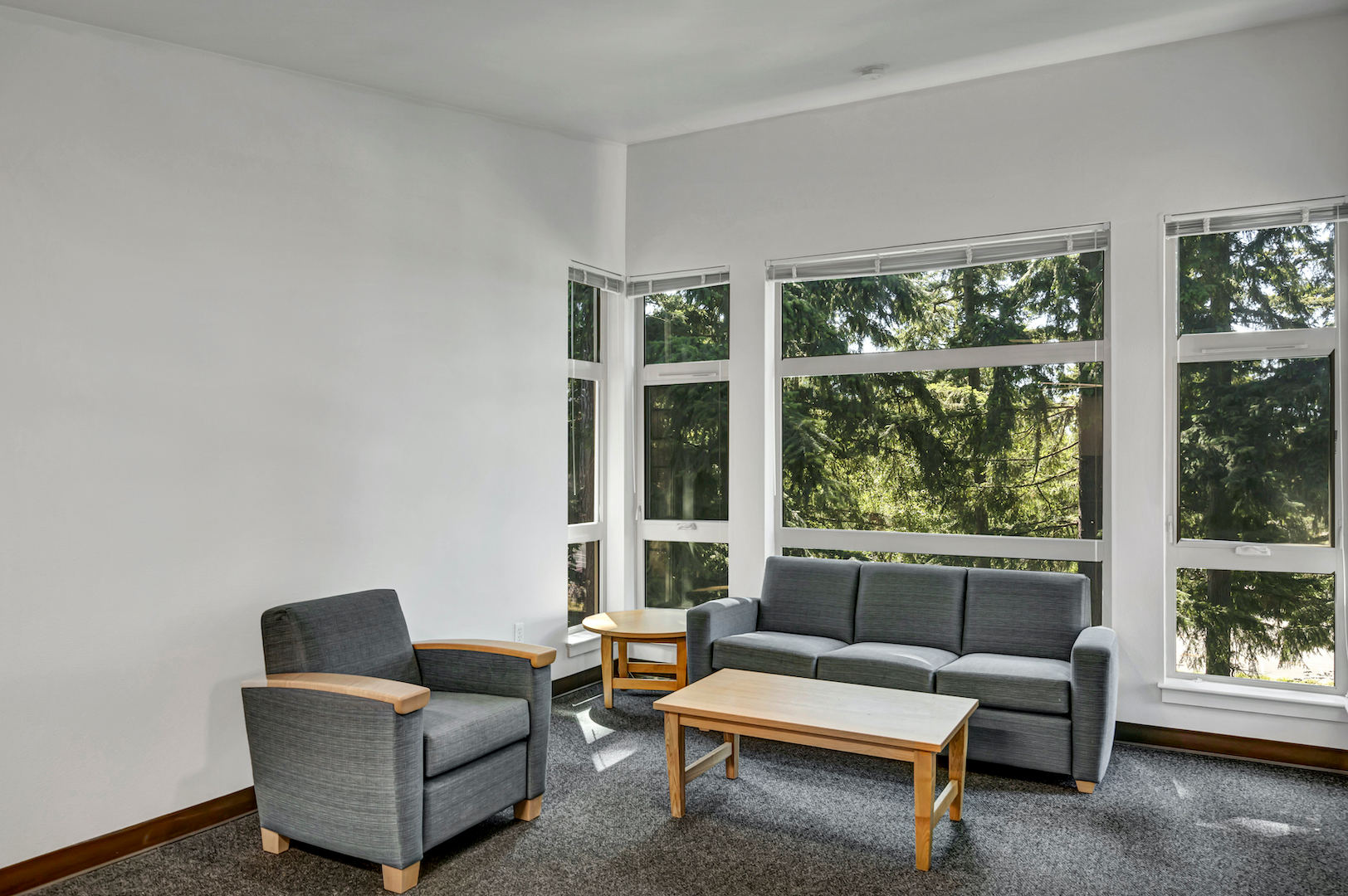Bright living room with sofa, armchair, coffee table, and large windows overlooking trees.