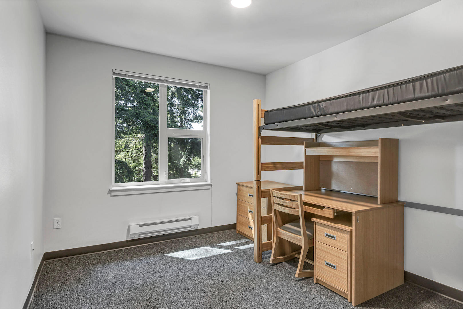 Bedroom featuring lofted bed, wooden desk and chair, dresser, and window.