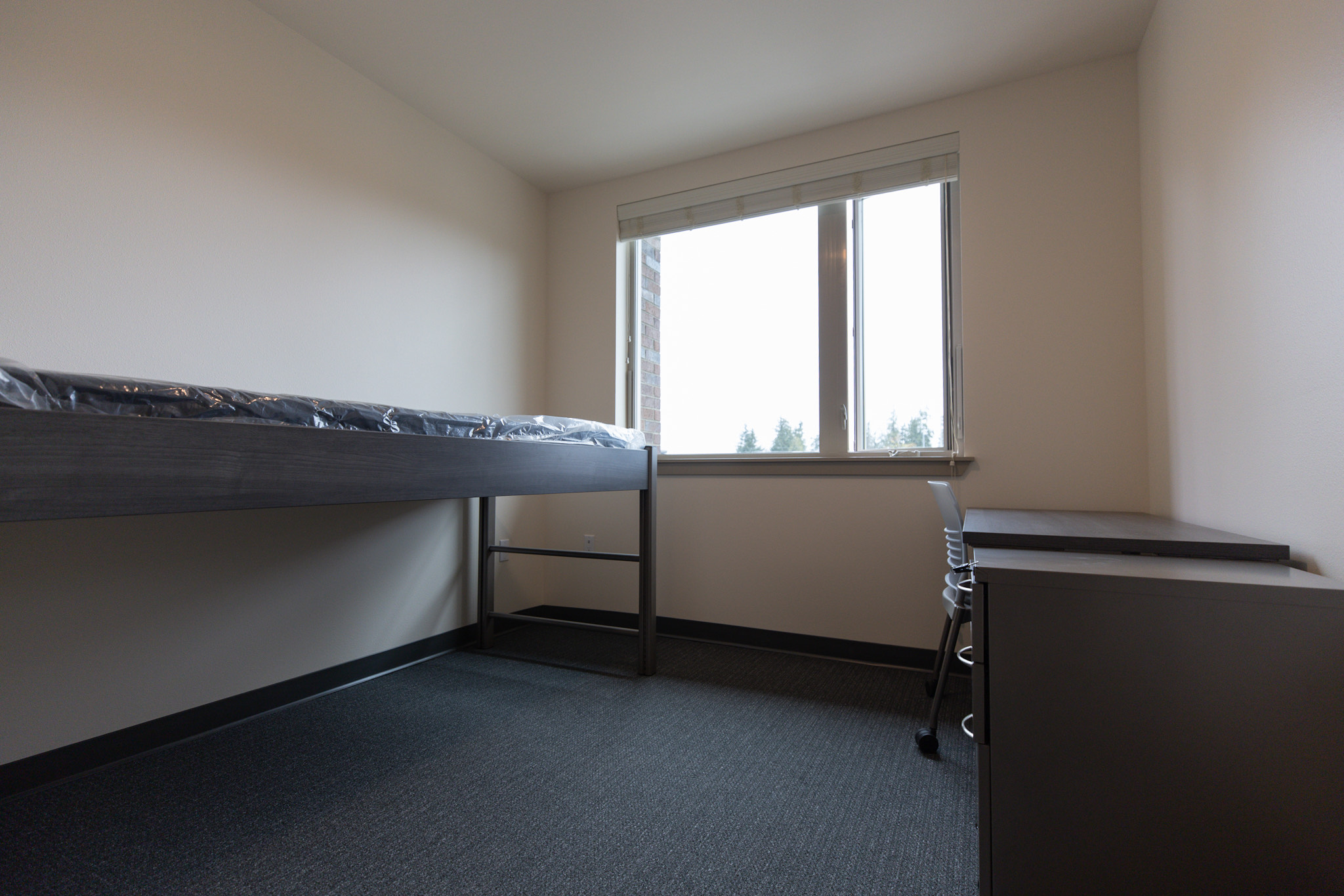 triton court private bedroom with twin xl bed and bedframe with desk table and desk chair with a side table cabinet triton court private bedroom with twin xl bed and bedframe with desk table and desk chair with a side table cabinet